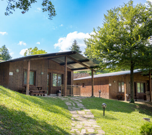 forest-houses-square