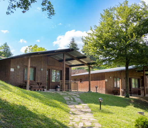 forest-houses-square